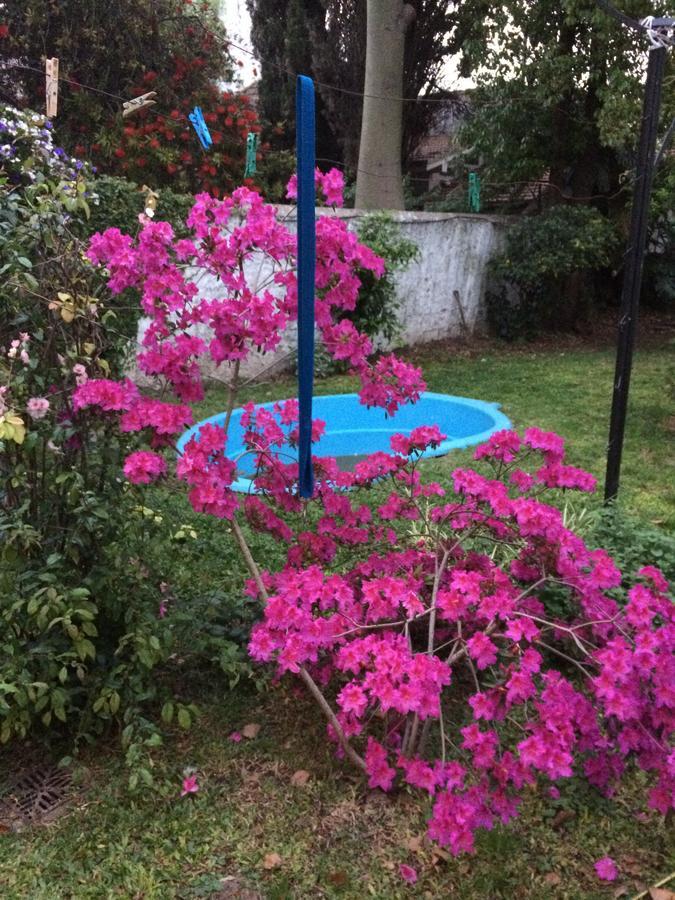 B&B Polo (Adults Only) Villa Maipu Экстерьер фото